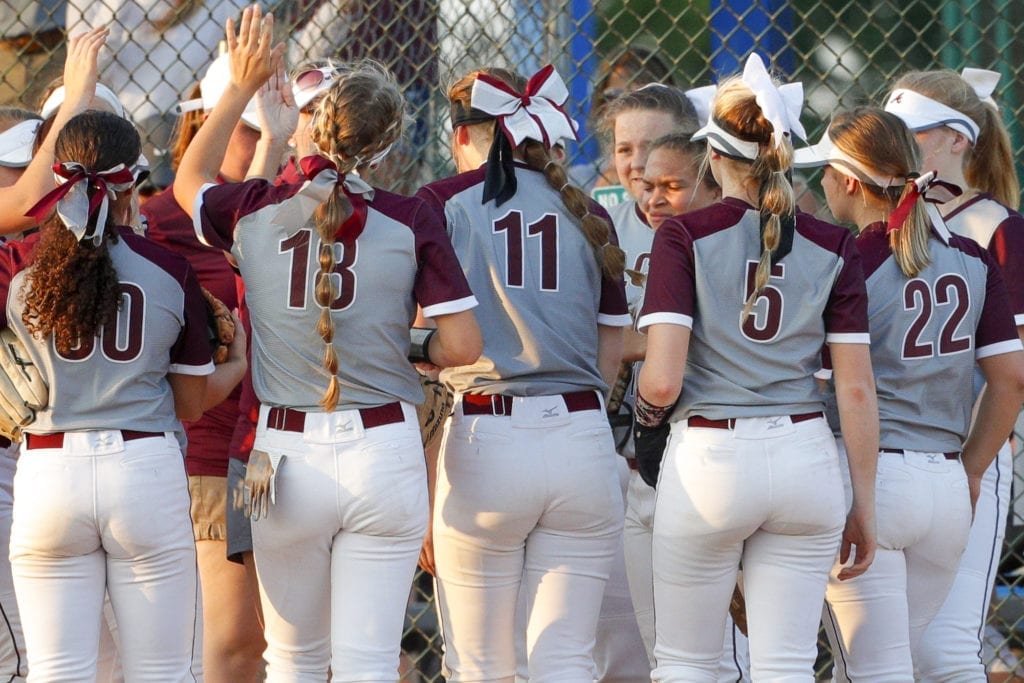 Creek Wood vs. Alcoa TSSAA softball 8 (Danny Parker)