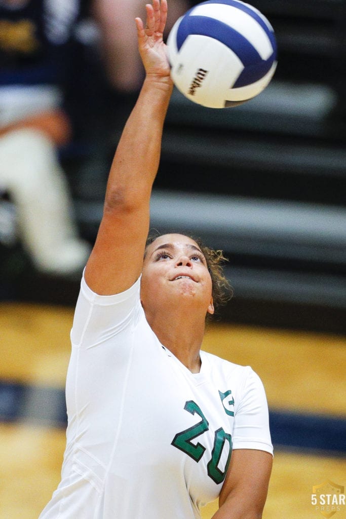 Greeneville v Seymour VB_2019 16 (Danny Parker)