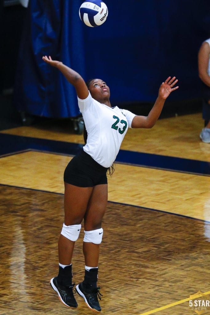 Greeneville v Seymour VB_2019 18 (Danny Parker)