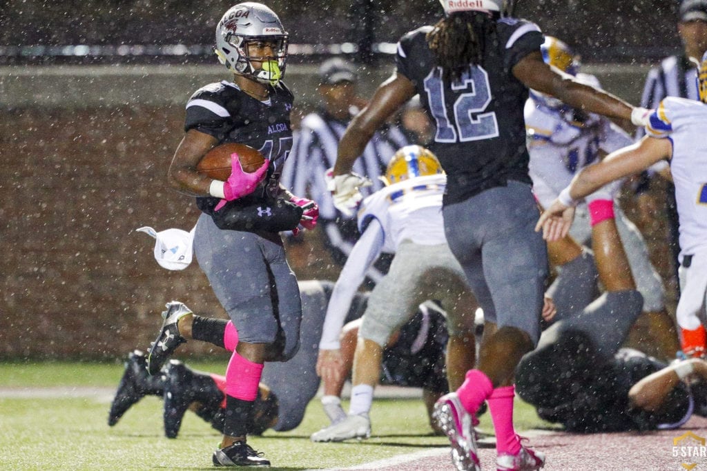 Gatlinburg-Pittman v Alcoa FTB_2019 6 (Danny Parker)