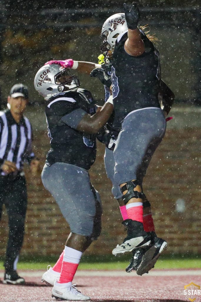 Gatlinburg-Pittman v Alcoa FTB_2019 7 (Danny Parker)