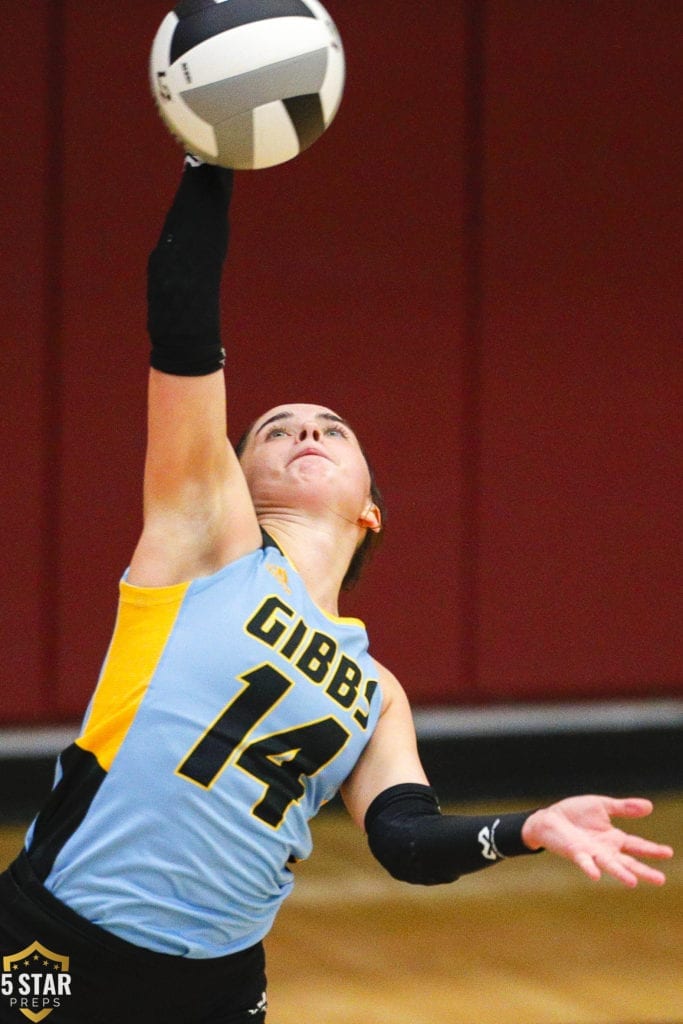 Gibbs region VB_2019 20 (Danny Parker)