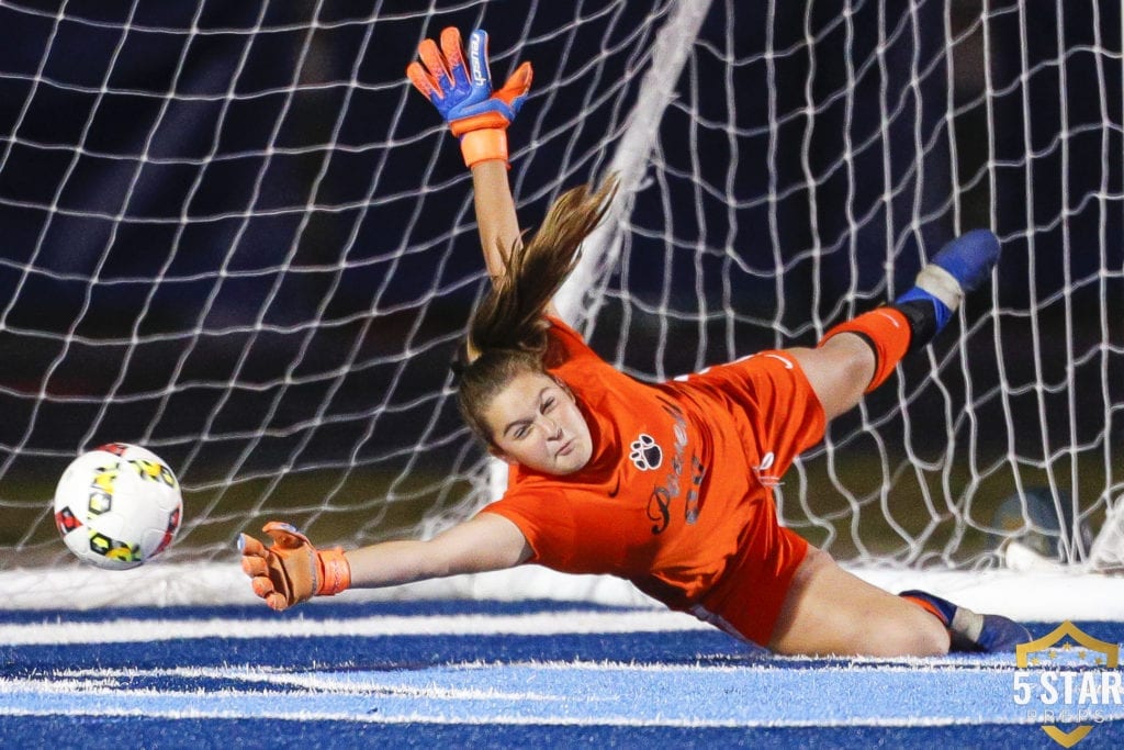 Powell vs Hardin Valley SCR_2019 22 (Danny Parker)