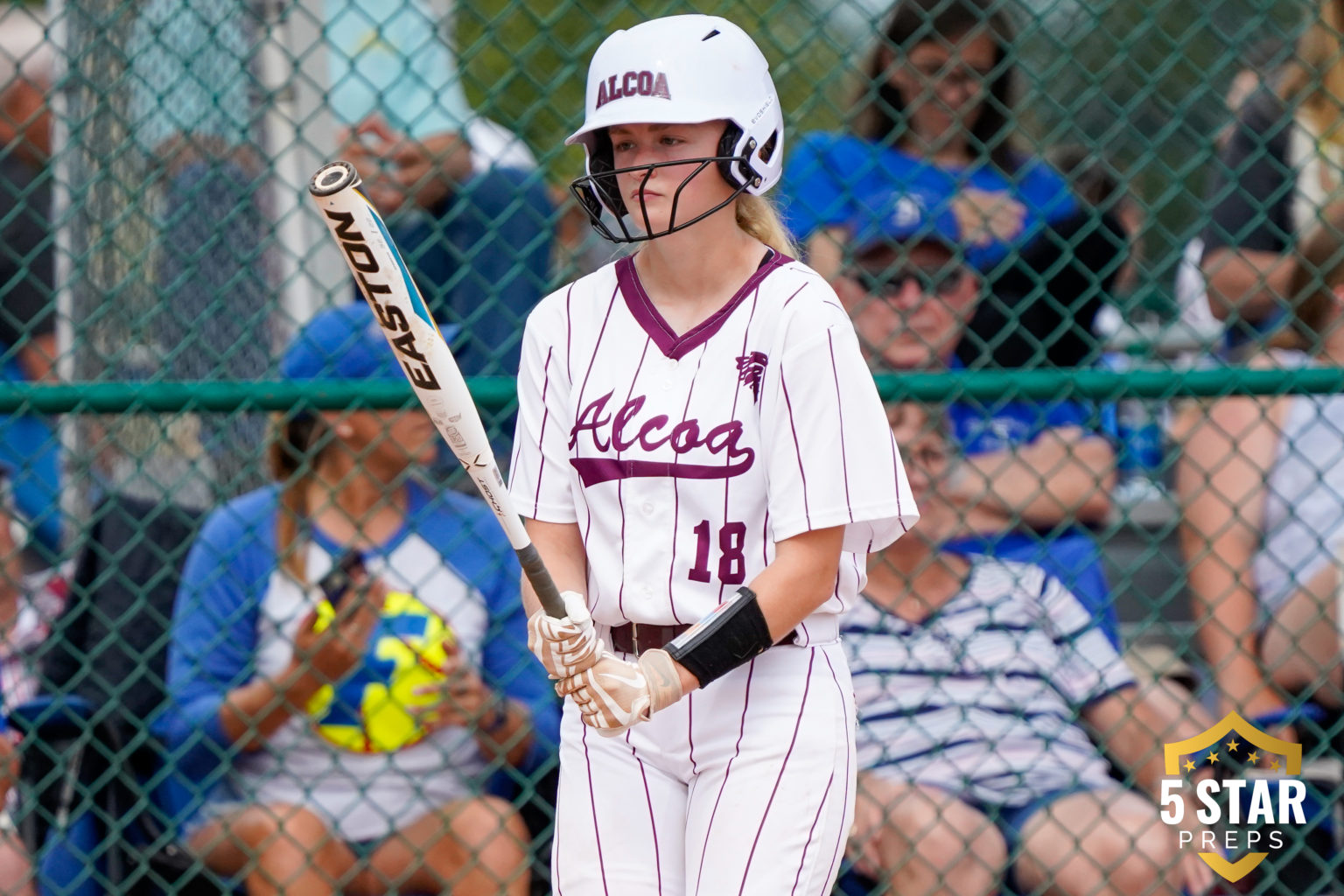 5STAR PHOTOS 2022 Alcoa Softball Championship, Pigeon Baseball