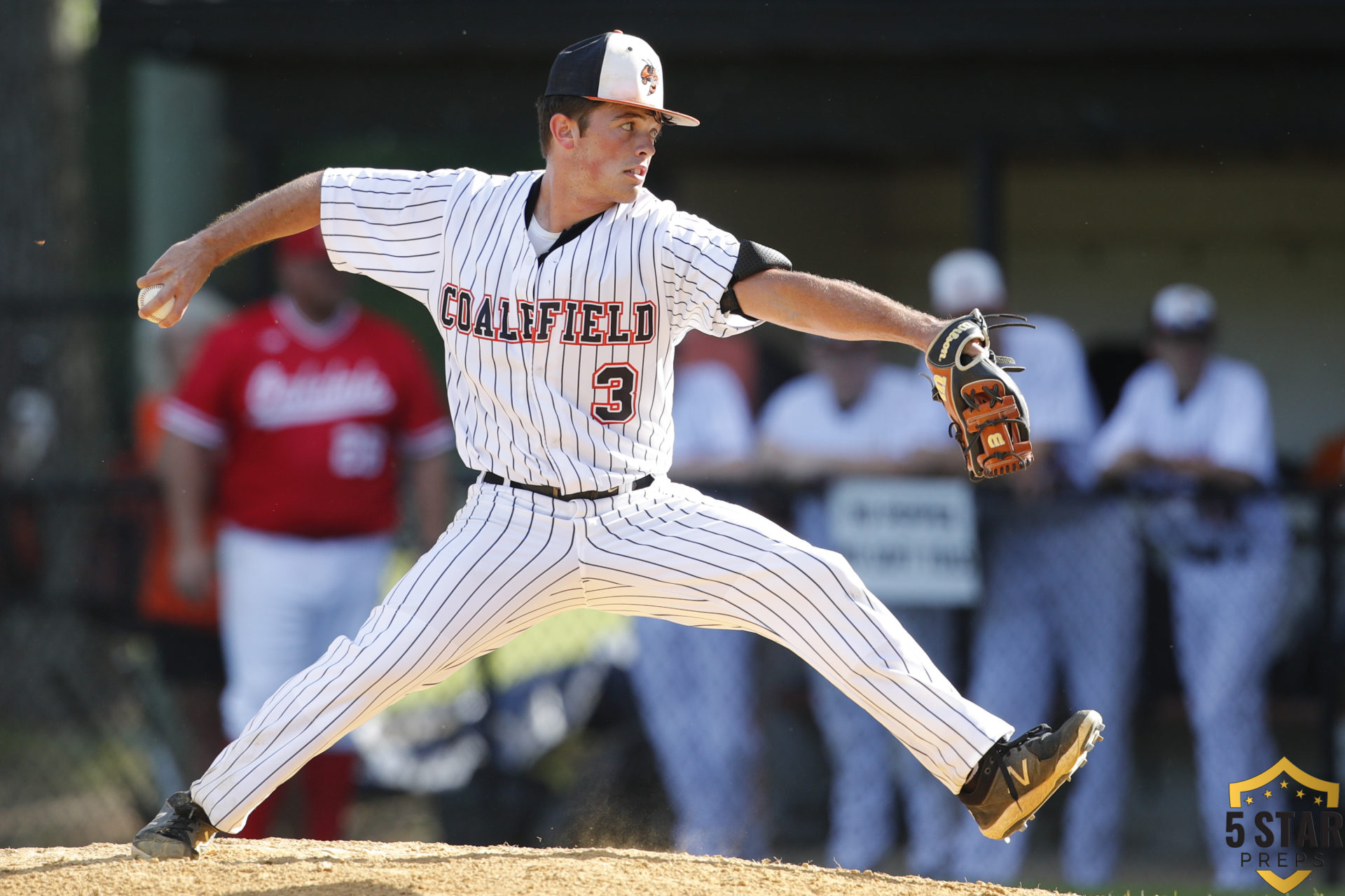 STATE BASEBALL Coalfield Yellow Jackets fall to host Eagleville, 20