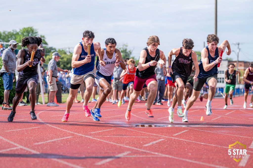 Springfling D3-14