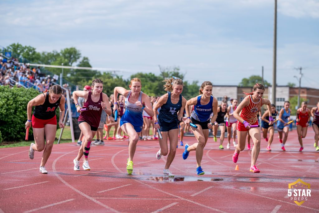 Springfling D3-2