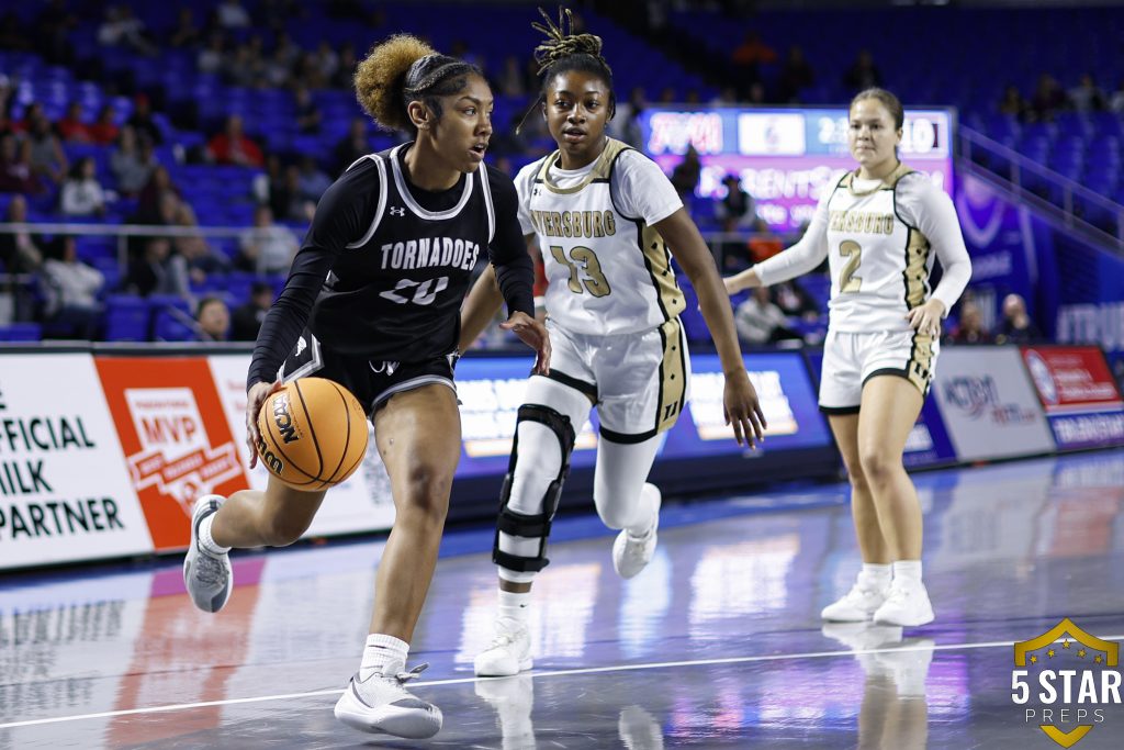 © 2026 Danny Parker