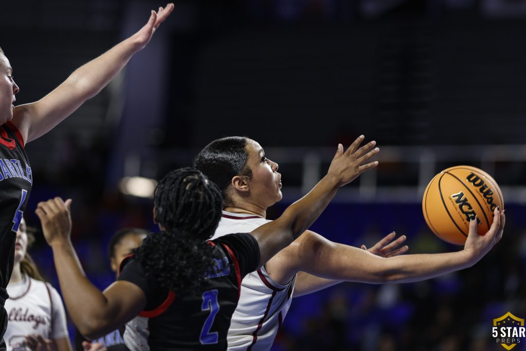 © 2026 Danny Parker