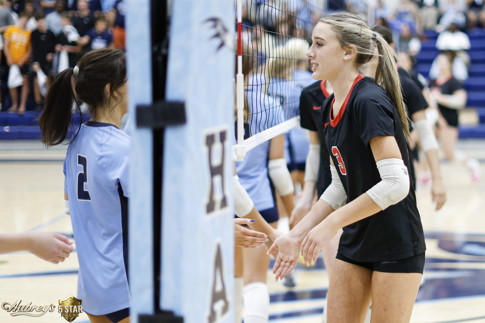 Maryville Hardin Valley VBL 118 (copyright 2026 Danny Parker)