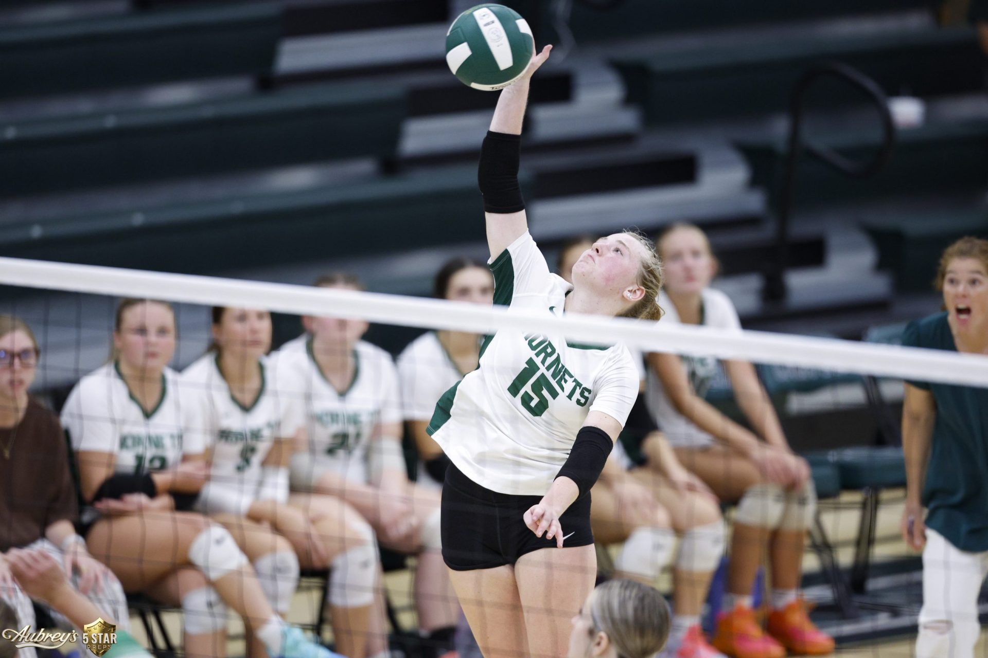 Northview Carter VBL 024 (copyright 2026 Danny Parker)