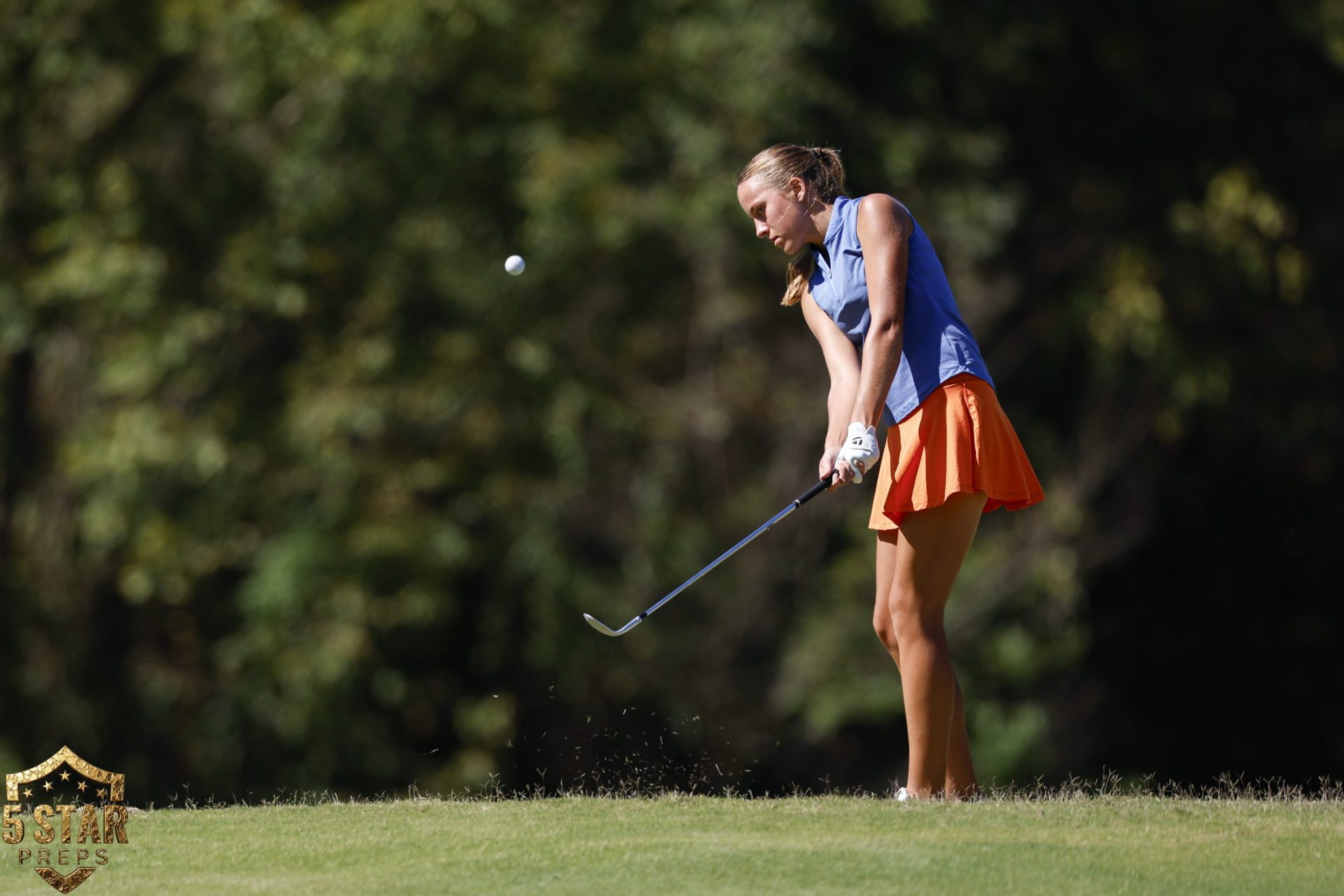 TSSAA state GLF 015 (copyright 2026 Danny Parker)